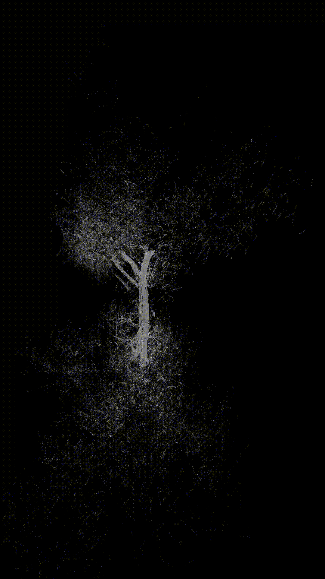 a 2D texture